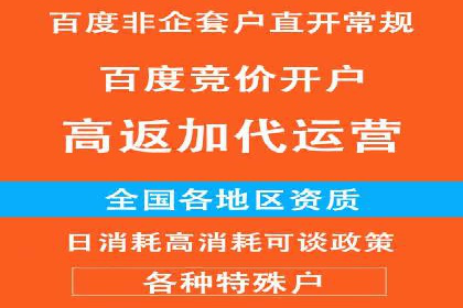 SEM搜索引擎优化：成功案例解析